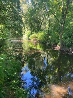 Pozemok na chov akýchkoľvek zvierat 🐴🐑🐐🌿 - 7