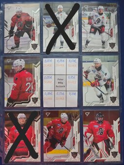 SHL - Dubnica, PB, Humenne, Bratislava - 7