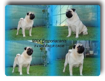 MOPS s PP. - 7