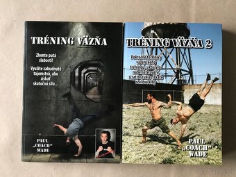 Daniel Silva, Dominik Dán, King, Tréning väzňa, Meno vetra - 7