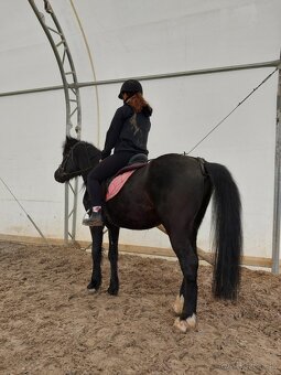 Pony Valach - 7
