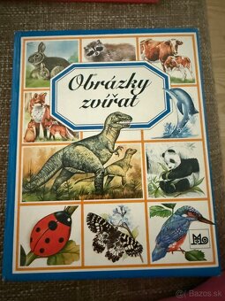 Séria Obrázky - 7