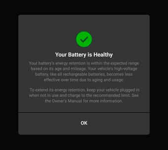 TESLA model Y Long Range, 2021 - 7