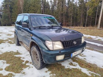 Predam Toyota Landcruiser 90 - 7