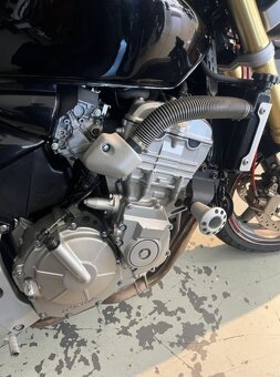 Honda CB 600 F Hornet 2006 - 7