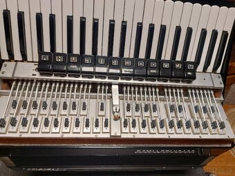 Akordeon / harmonika Royal Standard Selecta - 7