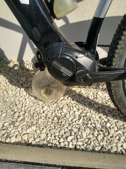 Ebike CTM Pulze Expert - 7