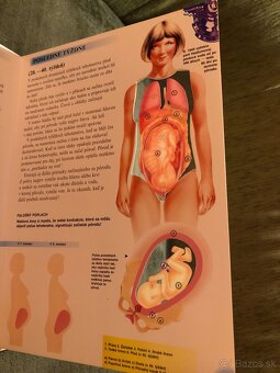 Tintin, Táborenie a iné - 7