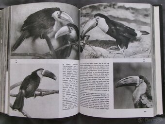 Veľký obrazový atlas vtákov - Jan Hanzák. - 7