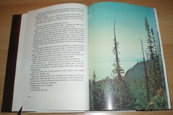 Černý sobol, hnědý medvěd - 7