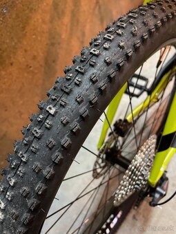Ctm Rascal - 7