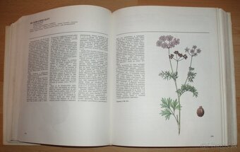 Atlas Liečivých rastlín a lesných plodov - 7