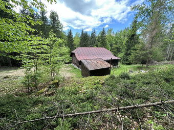 Výrazne znížená cena, chata v lese na predaj Nemecká - 7