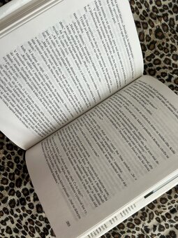 Liečiteľ - Noah Gordon - 7