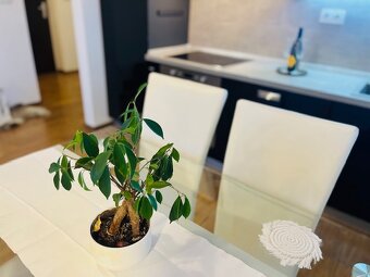 2-izb.byt, 2 parkovacie miesta, internet, energie v cene - 7