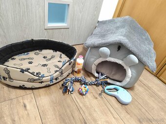 Predám Šteniatko Čistokrvneho Maltezaka - 7