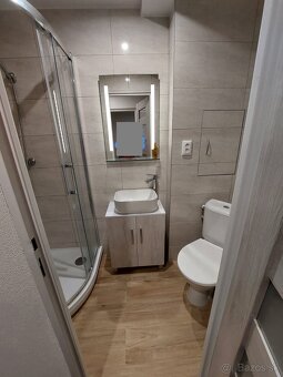 1 izbový byt Trenčianske Teplice, kompletná rekonštrukcia - 7