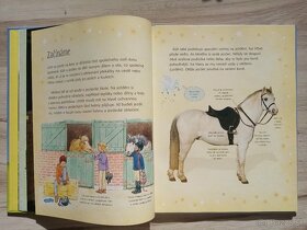 Kniha Jazdci, kone a poníky-Dickins a Pratt - 7