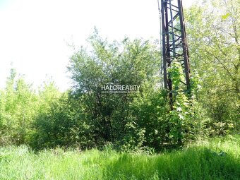 HALO reality - Predaj, pozemok 5834 m2 Trnava, zaujímavý i - 7