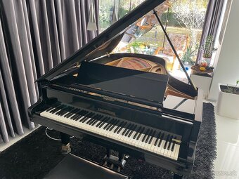 Grotrian-Steinweg - 7