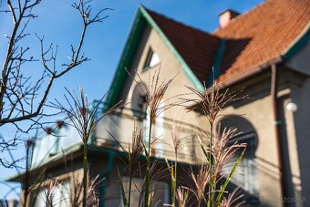 Rodinný dom Bojice,garáž, 958 m2 - 7