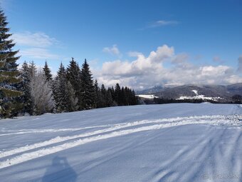 STAVEBNÝ POZEMOK 3100m2 v Chatovej OBLASTI CHLIPNACKY - 7