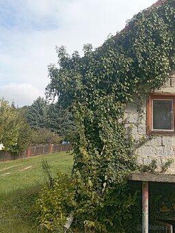 Predaj chatky s veľkým pozemkom - Šírava, Vinné jazero - 7