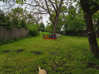 RODINNÝ DOM na rekonštrukciu v meste SOBRANCE - 7