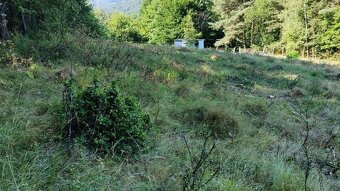 PREDAJ - POZEMOK NA SAMOTE DOLNÝ MILOCHOV OKRES POVAŽSKÁ BYS - 7