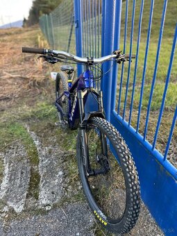 Trek Rail 9.5 M - 7