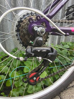 Dámsky horský bicykel DEMA ECCO 1.0 - 7