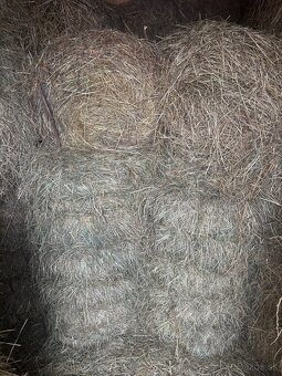 Predám balíkovane seno - 7