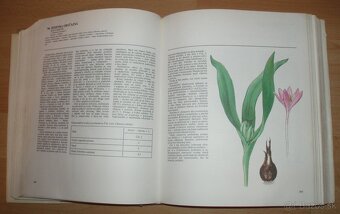 Atlas Liečivých rastlín a lesných plodov - 7