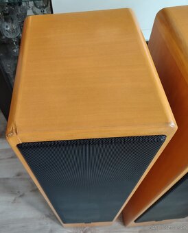 Canton Ergo 91 DC - 7