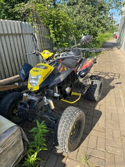 Bashan 250 - 7