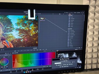 EIZO CG319X - 7