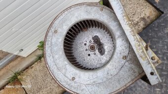 Predam odsananie slimak fukar duchadlo - 7