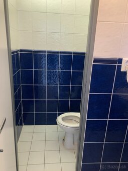 Na prenájom obchodné priestory s výkladom - 7