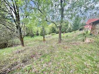 Predaj krásneho pozemku v jedinečnej prírode v obci Korňa - 7