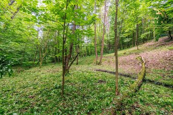 Pozemok v lone prírody s potôčikom– ideálny pre vašu vysníva - 7