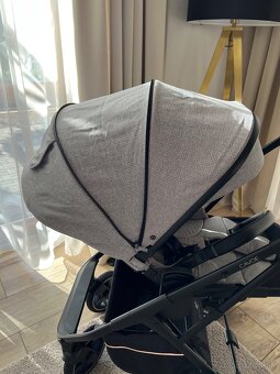 Cavoe Axo - 7