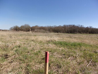 Exkluzívny predaj pozemku 3410 m2, Málaš, Levice - 7