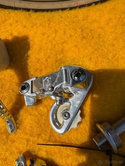 Sadu Campagnolo Victory - 7