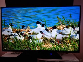 Predám LED TV Philips 32PHH4309/88 HD - 7