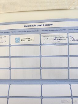 Nemecký Ovčiak - 7