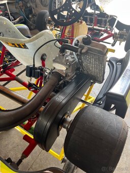 Motokára ROTAX 125 Senior - 7