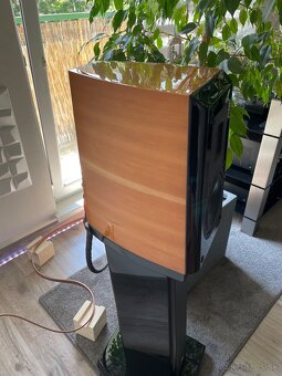 Aurum Cantus V2M - 7