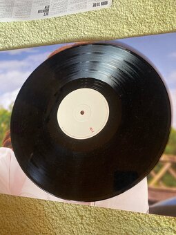 Lana Del Rey LP-Born to die - 7