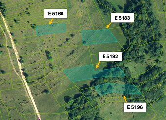 Liptovské Revúce 7.964 m2 LESY a POĽNOHOSPODÁRSKA pôda - 7