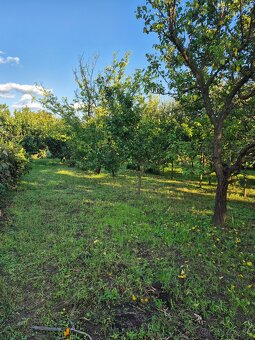 Vidiecky dom s výnimočnou záhradou v obci Méra - 7